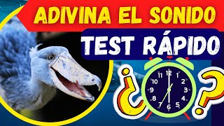 LOS SONIDOS MÁS RAROS DE ANIMALES TEST RÁPIDO 🦈⚠️ 😱 🔺  preguntas de biología 🌊🦈  Quiz animal [upl. by Amedeo]