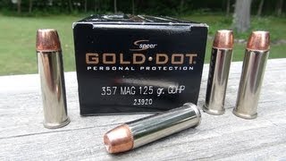 Speer Gold Dot 357 Magnum Ammo Gel Test [upl. by Hiller]