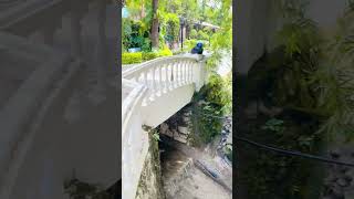 Park Village Flooding In Kathmandu trending shortsfeed shorts short viralshorts [upl. by Anerdna]