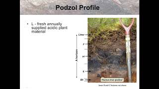 Podzol soils [upl. by Wilona]