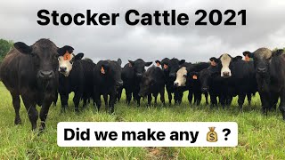 Stocker Steers 2021 [upl. by Binny]