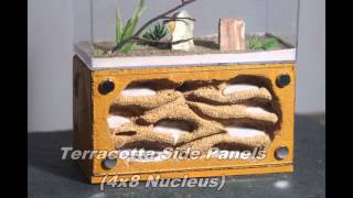 Tar Heel Ants Formicaria Options Video 2 Exterior Nest Colors [upl. by Inittirb]