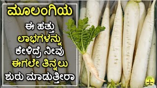 Top 10 Health Benefits of Radish in Kannada [upl. by Dusa774]