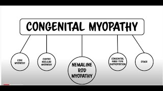 Nemaline Myopathy is Congenital Myopathy with Rods [upl. by Aiet644]