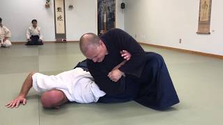 Aikido Arm and Hip Control Ikkyo Rokkyo Sutemi Waza [upl. by Preston]