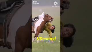 Horse man comes down from his horsefunny trend shortvideo [upl. by Assenab]