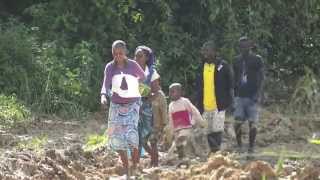 Passage du Bac à Mbindzo Ouesso Ouesso  Congo [upl. by Odrareve]