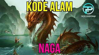 EREK EREK NAGA 2D 3D 4D  KODE ALAM NAGA  ARTI MIMPI NAGA [upl. by Alton606]