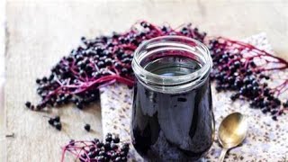 How to make a Elderberry Oxymel [upl. by Ziladnerb]