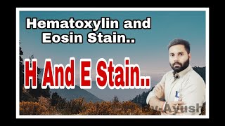 H amp E Stain  Hematoxyline And Eosin Stain  HampE stain Live Class [upl. by Rikahs]