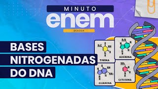 Bases nitrogenadas do DNA  Minuto ENEM [upl. by Adnawyt]