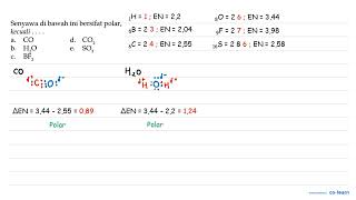 Senyawa di bawah ini bersifat polar kecuali a CO d CO2 b H2O e SO3 [upl. by Onairelav]