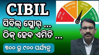 CIBIL SCORE ଠିକ୍ ହେବ କେମିତି How to improve Cibil score Credit Score correct CIBIL score in Odia [upl. by Oidacra]