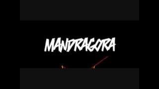 Mandragora  In Other Words [upl. by Adnolaj]