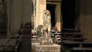 Monkeying Around at Angkor Wat Adorable Encounters with Cambodias Playful Residents [upl. by Aniles414]