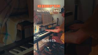 chopin nocturne Op 9 No 2 [upl. by Mathian307]