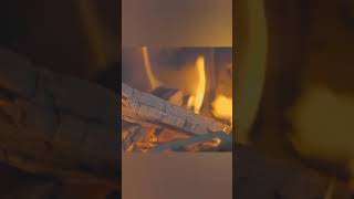 11°C Solo Camping in Snow with My DogRelaxing in the Hot Tent Wood Stove ASMR camp camping [upl. by Benni]