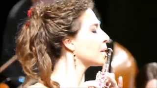 Astor Piazzolla Bordel 1900  Flute and Strings  Sarah Rulli 1 [upl. by Gaither]