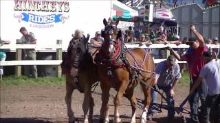 Horse Haul at the Queens County Fair [upl. by Romney]