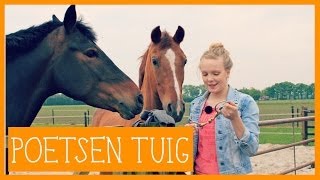 Hoofdstel oppoetsen  PaardenpraatTV [upl. by Hanleigh]