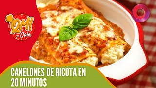 Canelones de ricota y espinaca con salsa boloñesa [upl. by Slifka]