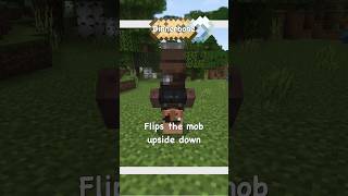 Minecraft Mob Name Tag SECRETS [upl. by Bakeman101]