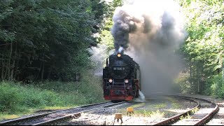 Dampfloks bei der HSB  Steam Trains  Züge [upl. by Bourgeois]