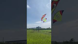 Thả diều ếch 4m5 cõng giàn sáo gì đây các bạnxuhuong vietnamkite kite youtubeshort layangan [upl. by Adlog]