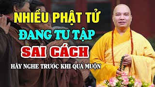 Rất Nhiều Phật Tử Đang Tu Tập Sai Cách Hãy Nghe Để Biết Trước Khi Quá Muộn  Thầy Thích Đạo Thịnh [upl. by Myriam64]