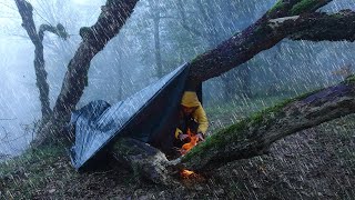 Surviving 2 DAYS Solo Camping in the Rain and Fog [upl. by Eiramaliehs]