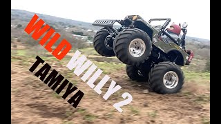 Tamiya Wild Willy 2  Wheelie Willy [upl. by Ientirb]