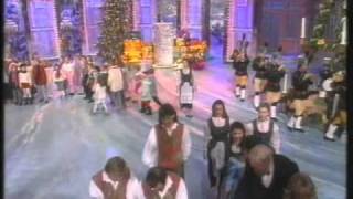 Volksmusik amp Schlager Allstars  Fröhliche Weihnacht überall [upl. by Jayne]