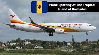 20 Minutes of Plane Spotting at The Tropical Island of Barbados in The Caribbean 4K [upl. by Saberhagen]