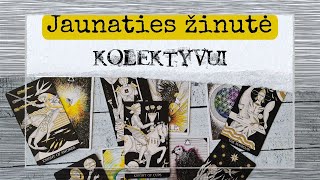 Jaunaties žinutė Taro kortomis kolektyvui Naujo mėnulio ciklo įtakos 1259 Lunacija [upl. by Yokum617]