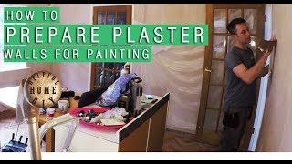 How to prepare plaster walls for painting to make your walls perfect [upl. by Nyrehtak583]