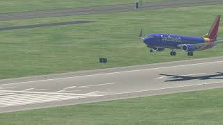 XPlane 11 737 Southwest Landing in Miami [upl. by Ettegirb]