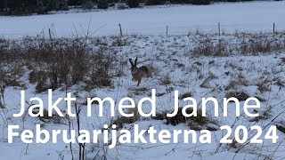 Jakt med Janne  Februarijakterna 2024 4K [upl. by Silvain276]