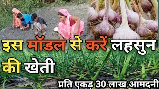 lahsun ki buvai kaise karen  लहसुन की खेती कैसे करें  How to cultivate garlic [upl. by Adoc]