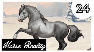 Horse Reality HR XXL Zuchtfolge 🐎 Lets Play 24 DEUTSCH [upl. by Berlyn]