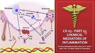 Chemical Mediators of Inflammation  الوسيط الكيميائي للالتهاب [upl. by Allenotna995]