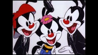 Animaniacs  Macadamia Mashup [upl. by Marlowe]