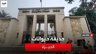 مائة عام  حديقة حيوانات الجيزة أكبر حديقة للحيوانات في مصر والشرق الأوسط [upl. by Nolan]