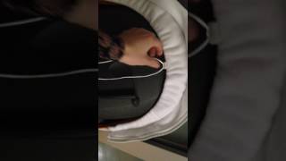 How to put the Stokke V1V2 seat cover on the seat [upl. by Isnam149]