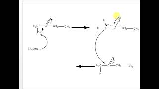 Acetatemevalonate pathway [upl. by Nitsua]