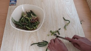 Chong Aloo Recipe  Caralluma Fimbriata Vegetable  چونگا  By Shayan Cooking Foods [upl. by Karee498]