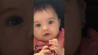 babycenter viralvideo newbornbaby babygirl babylov baby cute luv [upl. by Cramer]