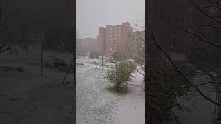 Snow in Lüneburg Lower Saxony Germany 🇩🇪🌨☃️❄️💖 [upl. by Beuthel]