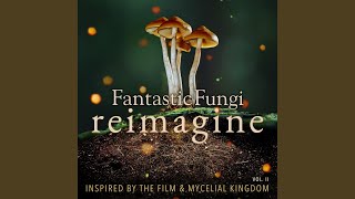 Mycelia Fantastic Fungi Reimagine [upl. by Llecram]