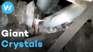 Crystal Palace hidden beneath the Mexican desert  The Mystery of the Giant Crystals [upl. by Hadihahs]