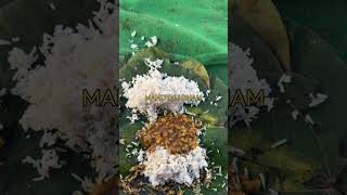 Mandyali Dham mandi himachal kangridham food recipe dham culture mandyali himachalpradesh [upl. by Allis]